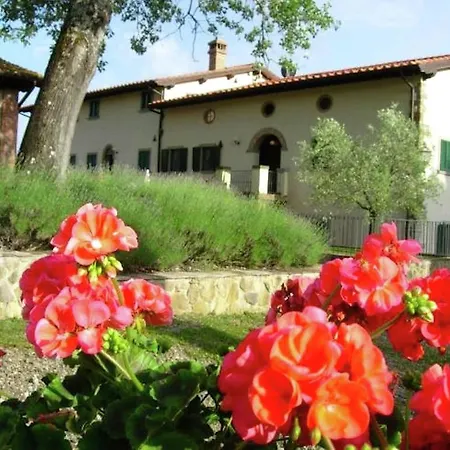 Il Ciliegio